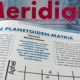 Meridian Planetoiden Matrix Astrologie